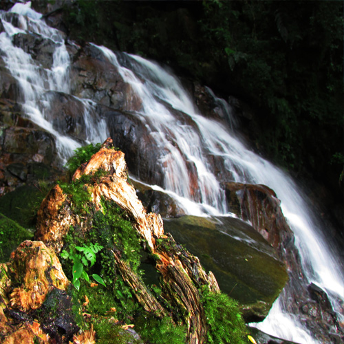 Estrada da Graciosa